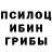 Псилоцибиновые грибы Psilocybine cubensis Penguin654