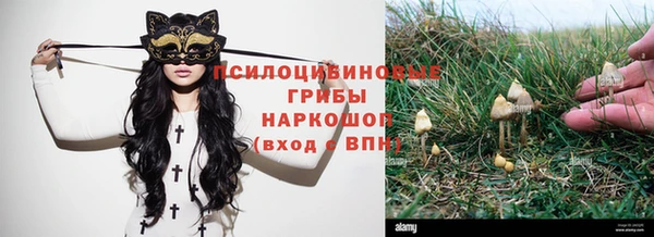 не бодяженный Волоколамск