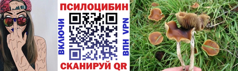 Галлюциногенные грибы Magic Shrooms Купить где Курганинск